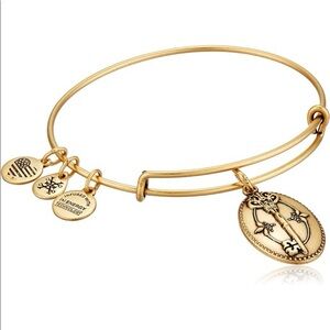 ๐ชท Alex and Ani Key To Life Expandable Rafaelian Bangle Bracelet